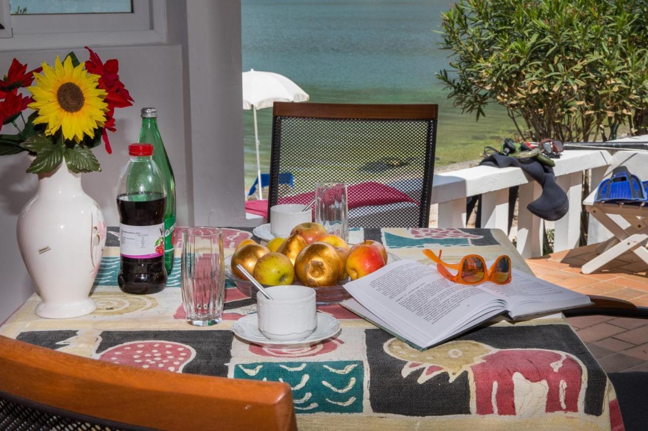 Seaside Studio Zaton  Εξωτερικό φωτογραφία