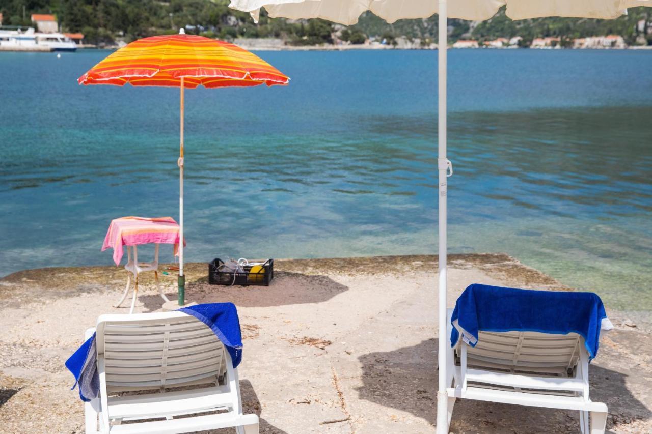 Seaside Studio Zaton  Εξωτερικό φωτογραφία